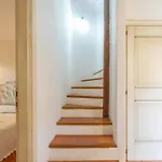Zagara